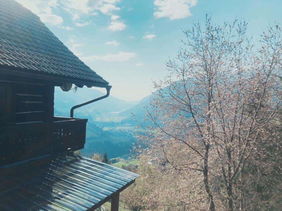 保尔恩霍夫奥比费里斯勒木屋 拉登泰因 外观 照片